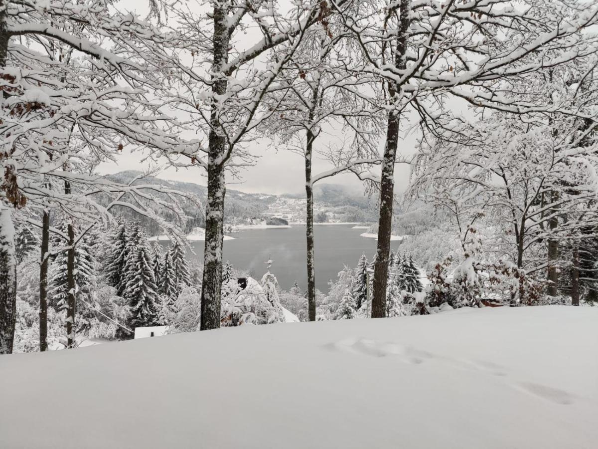 Eko Kuca Hedonija Villa Bajina Basta Exteriör bild