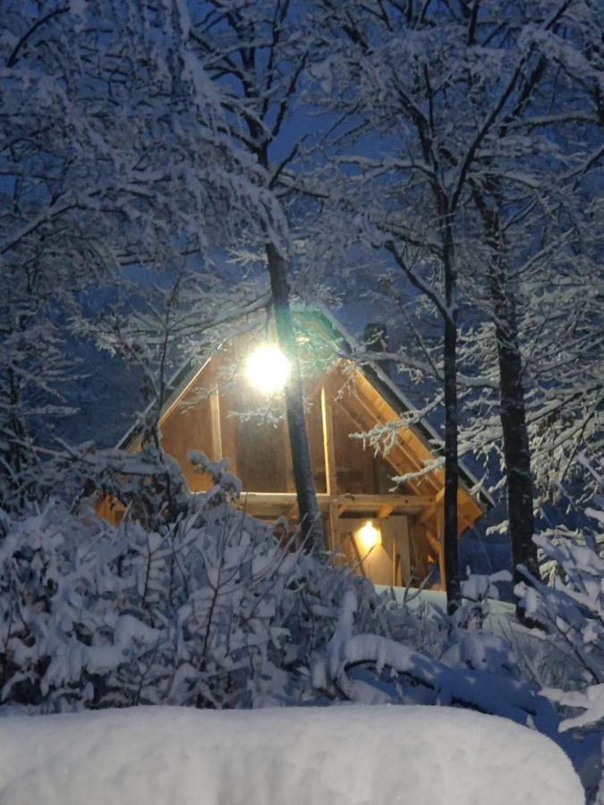 Eko Kuca Hedonija Villa Bajina Basta Exteriör bild